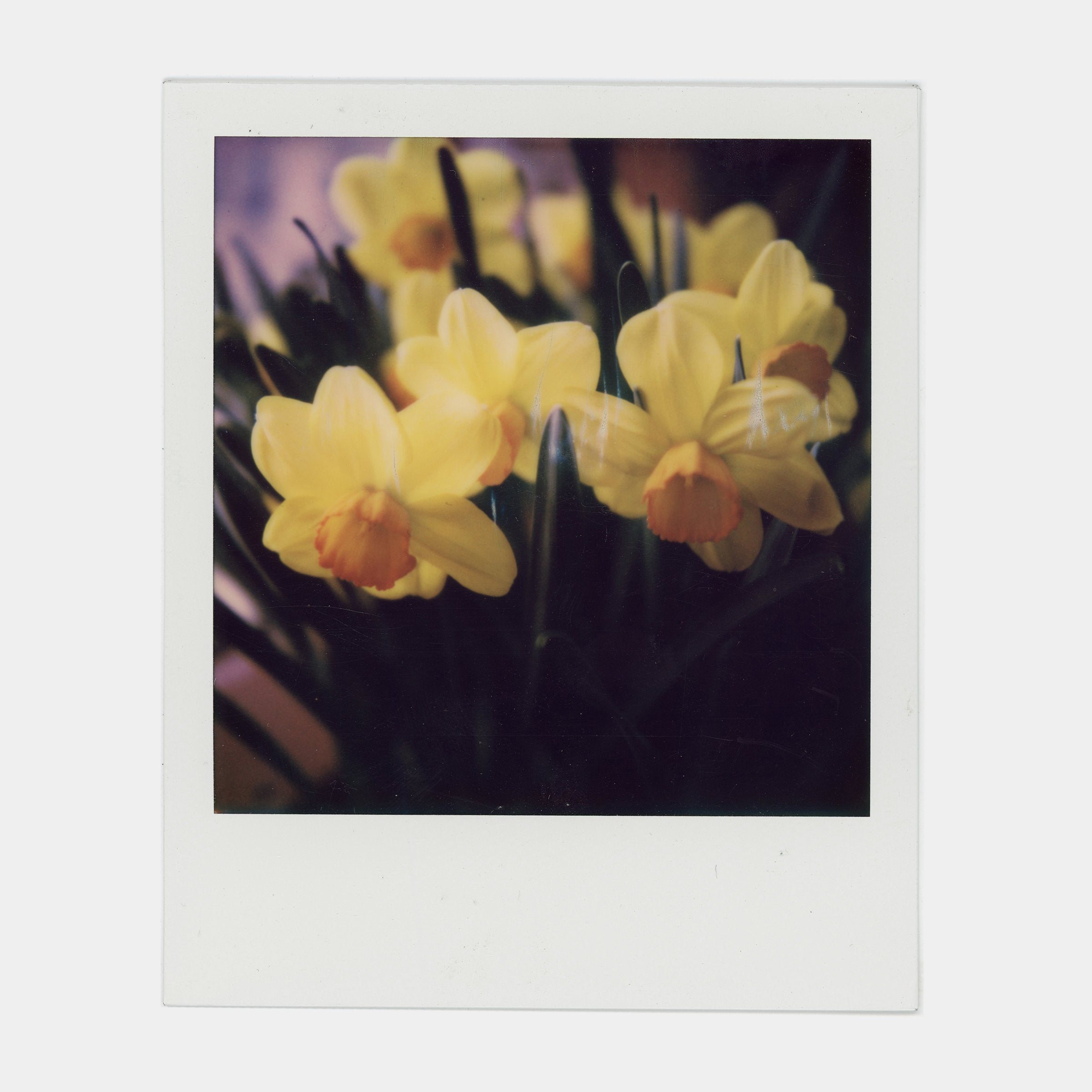 Polaroid 600 Color Instant Film (3 Pack)