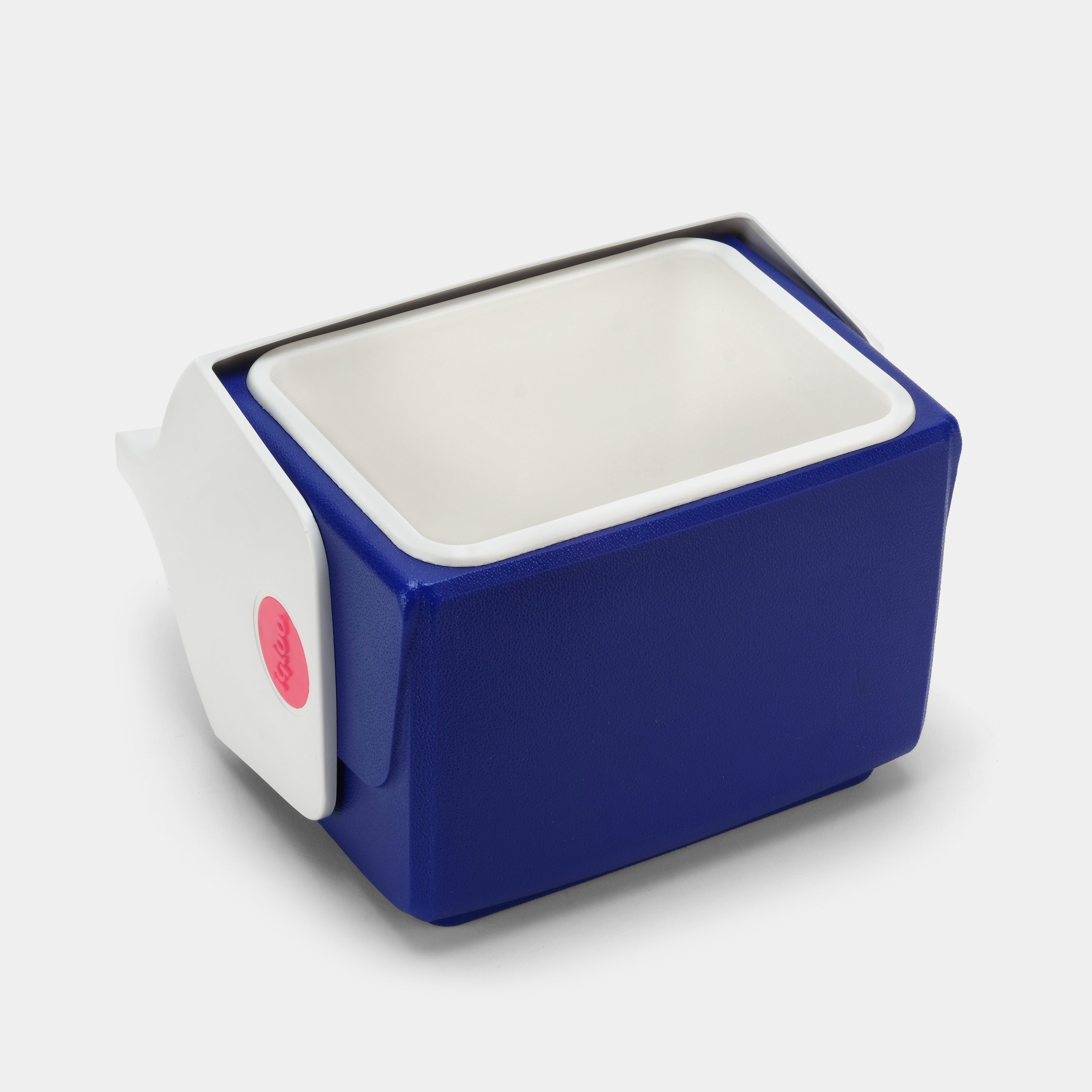 Vintage Polaroid x Igloo Mini Film Cooler